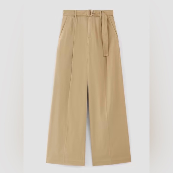 Everlane The Pleated Wide Leg Chino - Picture 5 of 7